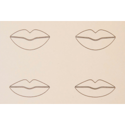 bungshaut (Whlen Sie zwischen: Kopf, Gesicht, Stirn, Lippen 2D und 3D)