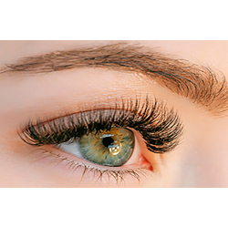 Wimpernverlngerungskurs- single, 2D-6D und hybrid (kombinierte Online-Lehre und Praktikum)