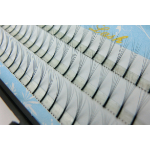 Volume Eyelashes 6D (For quick application)