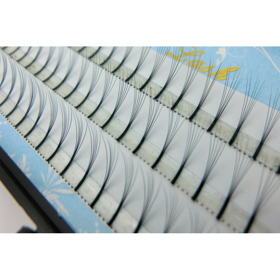 Volume Eyelashes 6D (For quick application)