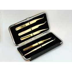 Golden Lash &amp; Brow Combi Kit