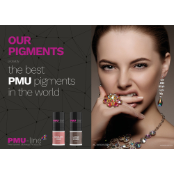 2 &#1096;&#1090;. &#1069;&#1082;&#1089;&#1082;&#1083;&#1102;&#1079;&#1080;&#1074;&#1085;&#1099;&#1077; &#1087;&#1086;&#1089;&#1090;&#1077;&#1088;&#1099; PMU line &#1076;&#1083;&#1103; &#1082;&#1083;&#1080;&#1085;&#1080;&#1082;&#1080;