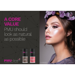 2 &#1096;&#1090;. &#1069;&#1082;&#1089;&#1082;&#1083;&#1102;&#1079;&#1080;&#1074;&#1085;&#1099;&#1077; &#1087;&#1086;&#1089;&#1090;&#1077;&#1088;&#1099; PMU line &#1076;&#1083;&#1103; &#1082;&#1083;&#1080;&#1085;&#1080;&#1082;&#1080;