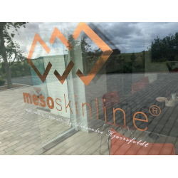 mesoskinline logo for window