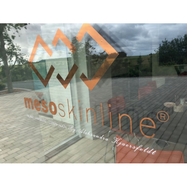 mesoskinline logo for window
