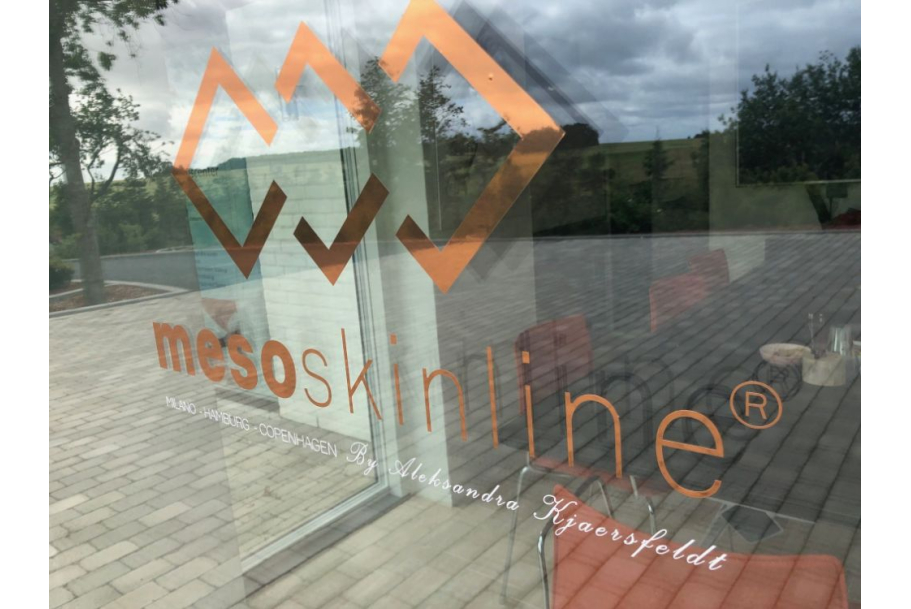 Mesoskinline-Logo f&uuml;r Fenster