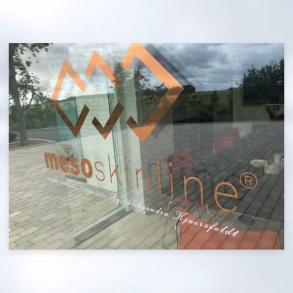 mesoskinline logo for window